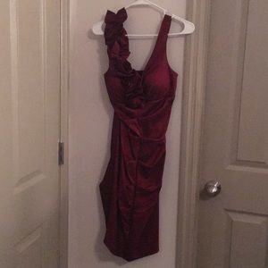 Burgundy Dress
